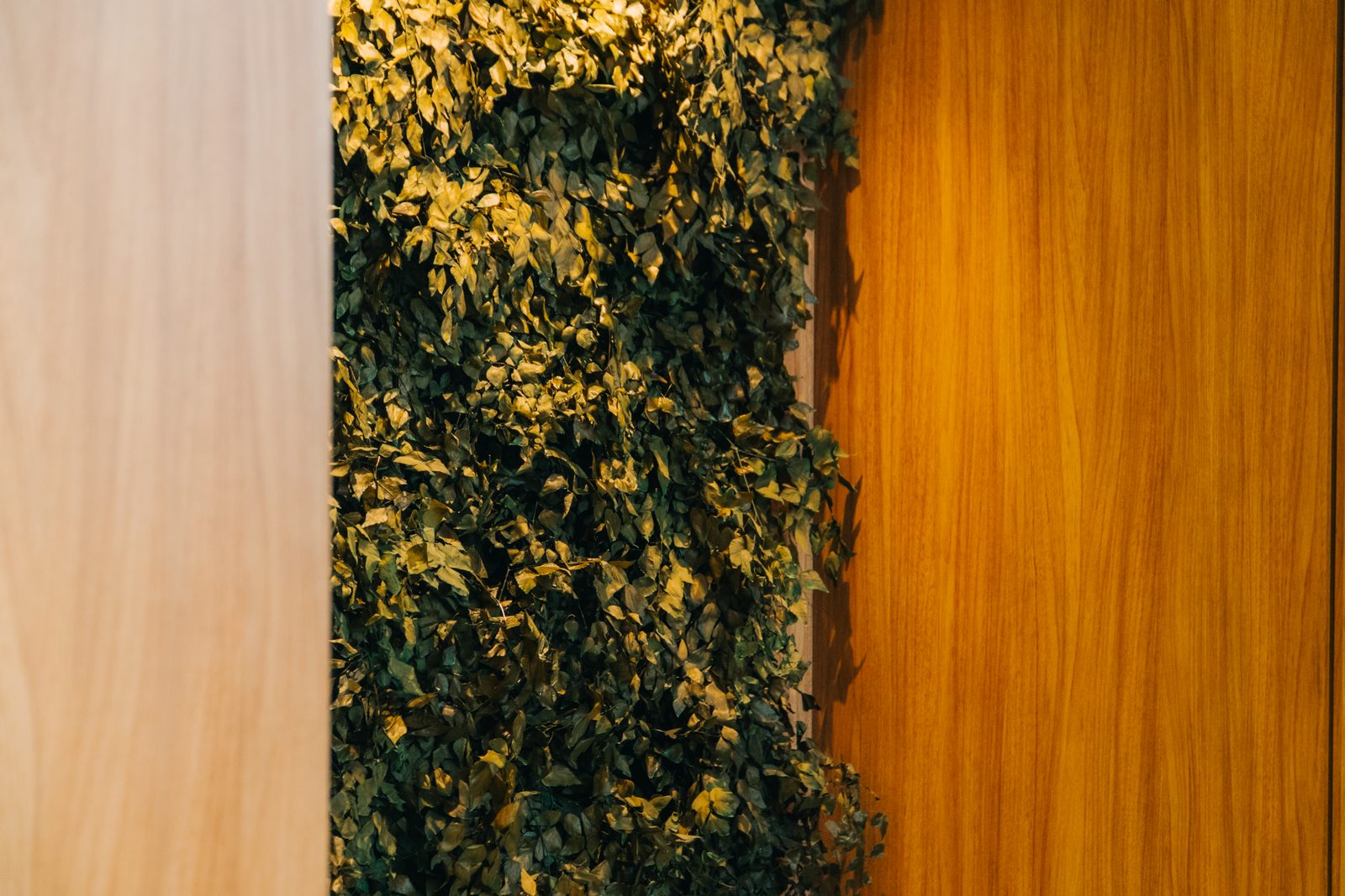 Instituto Bruna Aguiar — jardim